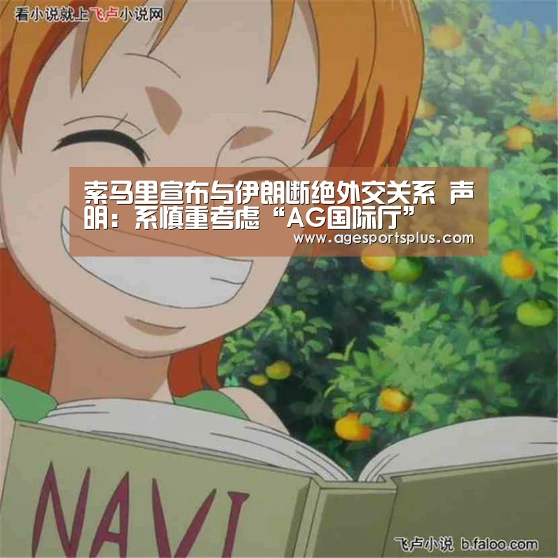 索马里宣布与伊朗断绝外交关系 声明:系慎重考虑“AG国际厅”(图3) AG电竞