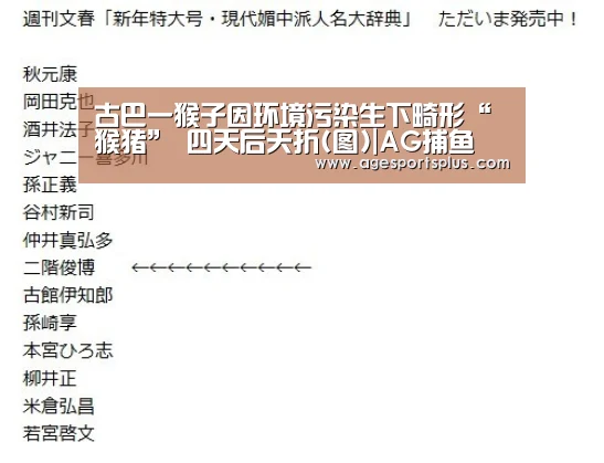 古巴一猴子因环境污染生下畸形“猴猪” 四天后夭折(图)|AG捕鱼(图3) AG电竞