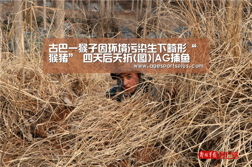 古巴一猴子因环境污染生下畸形“猴猪” 四天后夭折(图)|AG捕鱼